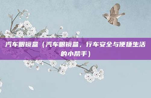 汽车眼镜盒(汽车眼镜盒,行车安全与便捷生活的小帮手)