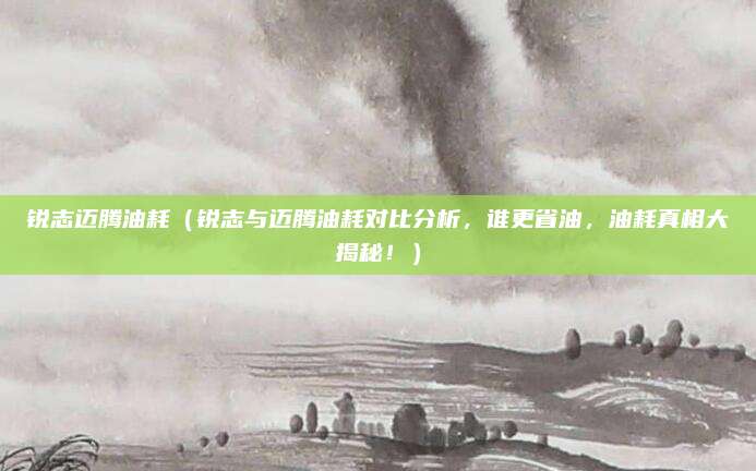 锐志迈腾油耗(锐志与迈腾油耗对比分析,谁更省油,油耗真相大揭秘!)