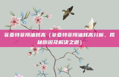 菲亚特菲翔油耗高(菲亚特菲翔油耗高分析,揭秘原因及解决之道)