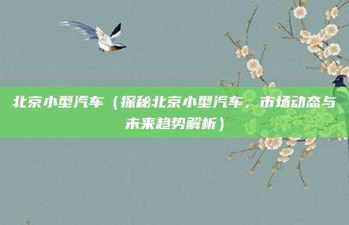 北京小型汽车(探秘北京小型汽车,市场动态与未来趋势解析)