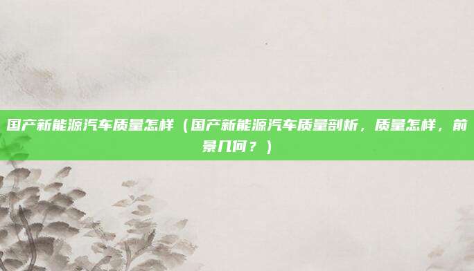 国产新能源汽车质量怎样(国产新能源汽车质量剖析,质量怎样,前景几何?)