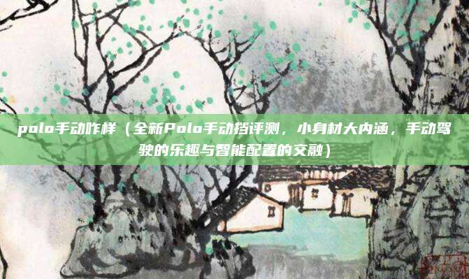 polo手动咋样(全新Polo手动挡评测,小身材大内涵,手动驾驶的乐趣与智能配置的交融)