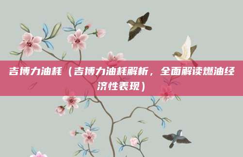 吉博力油耗(吉博力油耗解析,全面解读燃油经济性表现)