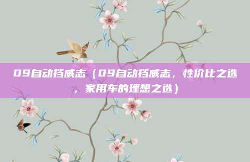 09自动挡威志(09自动挡威志,性价比之选,家用车的理想之选)