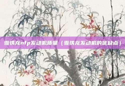 雪铁龙nfp发动机质量(雪铁龙发动机的优缺点)