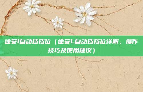 途安l自动挡挡位(途安L自动挡挡位详解,操作技巧及使用建议)