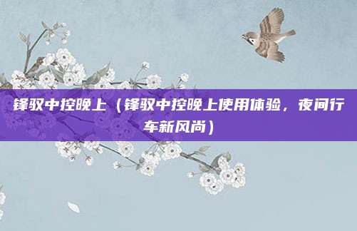 锋驭中控晚上(锋驭中控晚上使用体验,夜间行车新风尚)