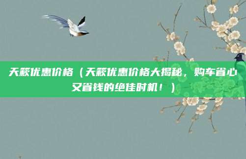 天簌优惠价格（天簌优惠价格大揭秘，购车省心又省钱的绝佳时机！）