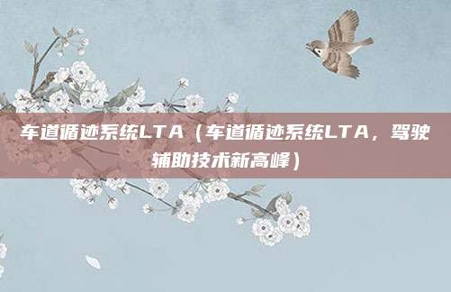 车道循迹系统LTA(车道循迹系统LTA,驾驶辅助技术新高峰)