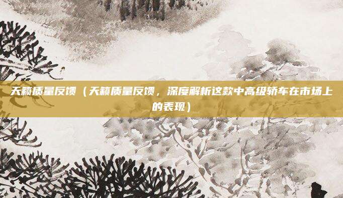 天籁质量反馈(天籁质量反馈,深度解析这款中高级轿车在市场上的表现)