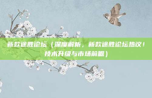 新款途胜论坛（深度解析，新款途胜论坛热议！技术升级与市场前瞻）