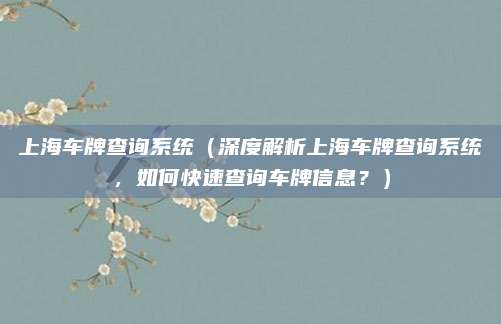 上海车牌查询系统（深度解析上海车牌查询系统，如何快速查询车牌信息？）