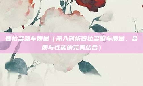 普拉多整车质量(深入剖析普拉多整车质量,品质与性能的完美结合)