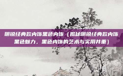 明锐经典款内饰黑色内饰（揭秘明锐经典款内饰黑色魅力，黑色内饰的艺术与实用并重）