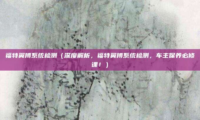 福特翼搏系统检测(深度解析,福特翼搏系统检测,车主保养必修课!)