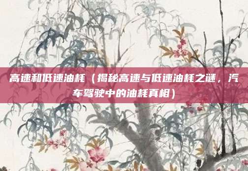 高速和低速油耗(揭秘高速与低速油耗之谜,汽车驾驶中的油耗真相)