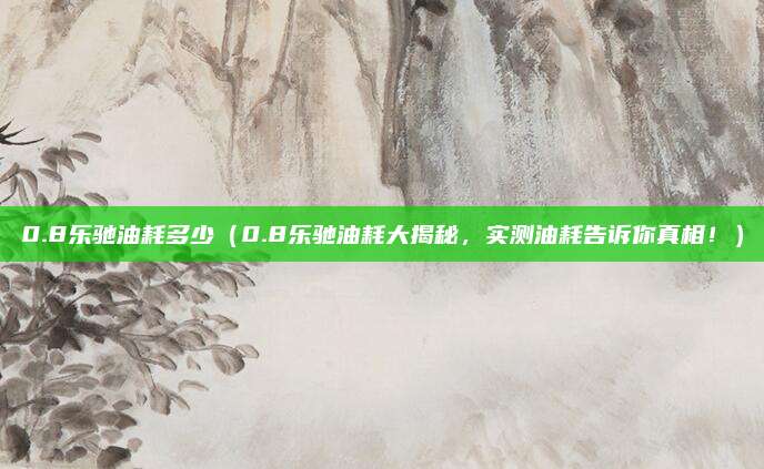 0.8乐驰油耗多少(0.8乐驰油耗大揭秘,实测油耗告诉你真相!)