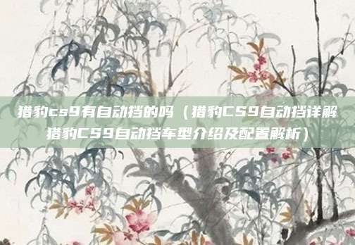 猎豹cs9有自动挡的吗（猎豹CS9自动挡详解猎豹CS9自动挡车型介绍及配置解析）