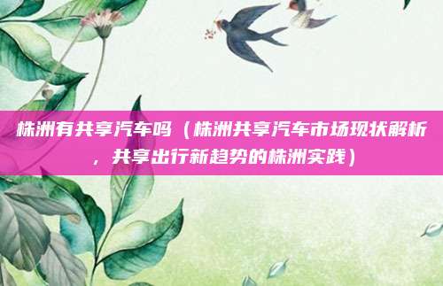 株洲有共享汽车吗（株洲共享汽车市场现状解析，共享出行新趋势的株洲实践）