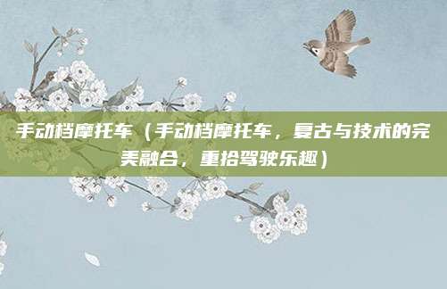 手动档摩托车(手动档摩托车,复古与技术的完美融合,重拾驾驶乐趣)