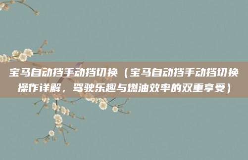 宝马自动挡手动挡切换(宝马自动挡手动挡切换操作详解,驾驶乐趣与燃油效率的双重享受)