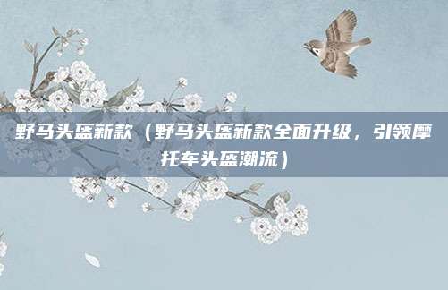 野马头盔新款(野马头盔新款全面升级,引领摩托车头盔潮流)
