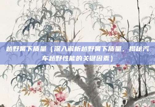 越野簧下质量(深入解析越野簧下质量,揭秘汽车越野性能的关键因素)