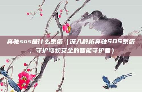 奔驰sos是什么系统(深入解析奔驰SOS系统,守护驾驶安全的智能守护者)