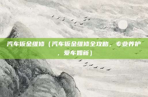 汽车钣金维修(汽车钣金维修全攻略,专业养护,爱车如新)