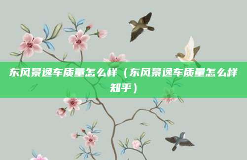 东风景逸车质量怎么样(东风景逸车质量怎么样知乎)