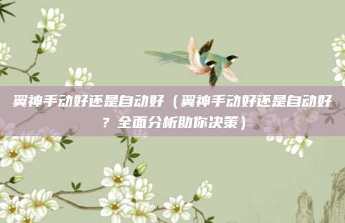 翼神手动好还是自动好(翼神手动好还是自动好?全面分析助你决策)