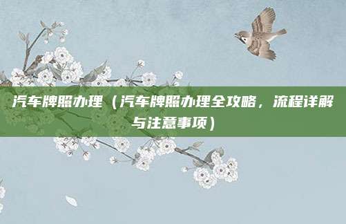 汽车牌照办理（汽车牌照办理全攻略，流程详解与注意事项）