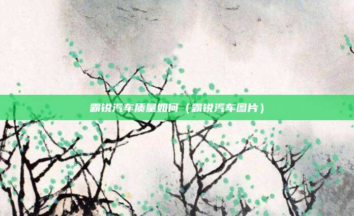 霸锐汽车质量如何(霸锐汽车图片)