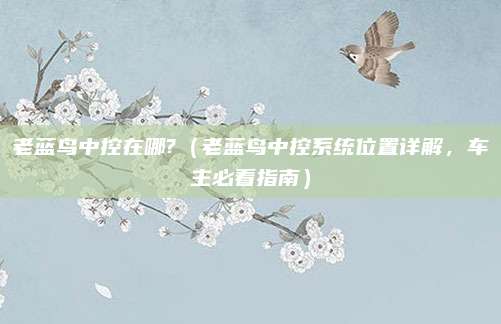 老蓝鸟中控在哪?（老蓝鸟中控系统位置详解，车主必看指南）