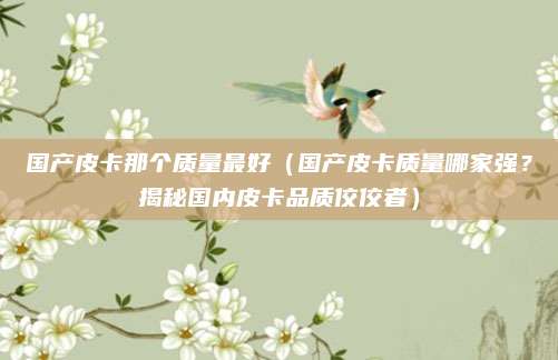 国产皮卡那个质量最好（国产皮卡质量哪家强？揭秘国内皮卡品质佼佼者）