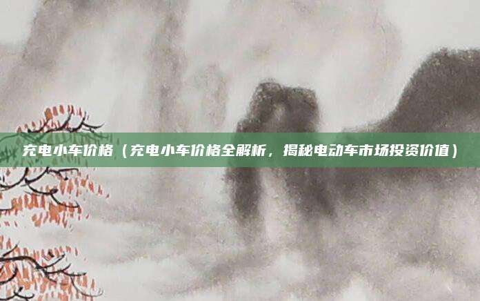 充电小车价格(充电小车价格全解析,揭秘电动车市场投资价值)