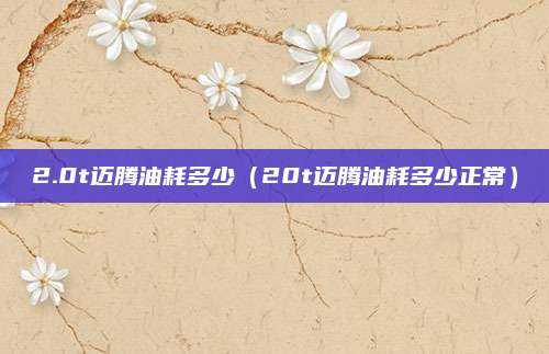 2.0t迈腾油耗多少(20t迈腾油耗多少正常)