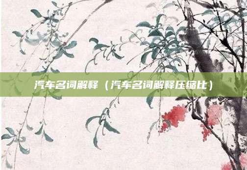 汽车名词解释(汽车名词解释压缩比)