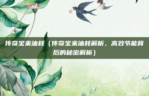 传奇宝来油耗(传奇宝来油耗解析,高效节能背后的秘密解析)