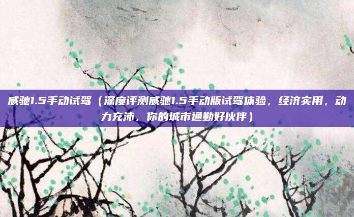 威驰1.5手动试驾(深度评测威驰1.5手动版试驾体验,经济实用,动力充沛,你的城市通勤好伙伴)