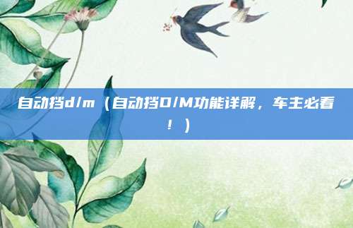 自动挡d/m(自动挡D/M功能详解,车主必看!)