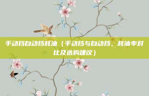 手动挡自动挡耗油(手动挡与自动挡,耗油率对比及选购建议)