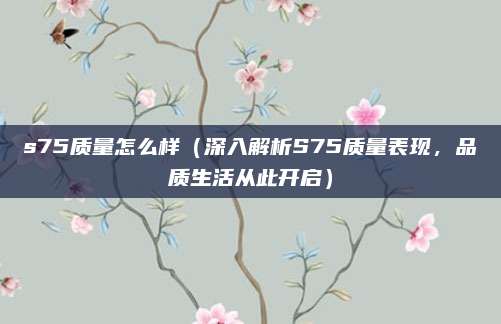 s75质量怎么样（深入解析S75质量表现，品质生活从此开启）