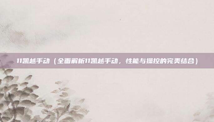 11凯越手动(全面解析11凯越手动,性能与操控的完美结合)