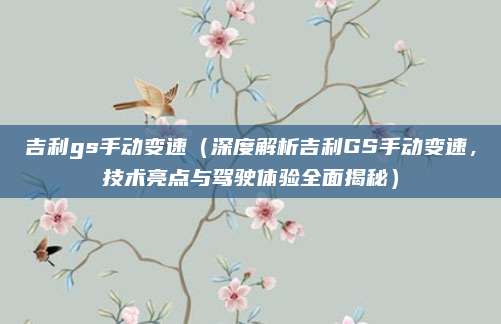 吉利gs手动变速（深度解析吉利GS手动变速，技术亮点与驾驶体验全面揭秘）