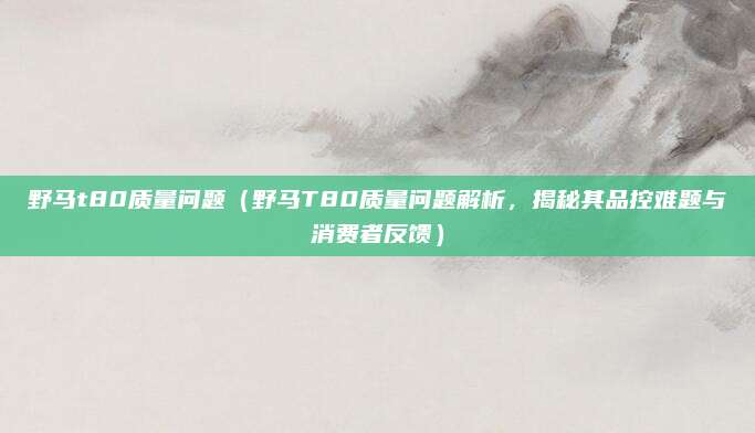 野马t80质量问题(野马T80质量问题解析,揭秘其品控难题与消费者反馈)