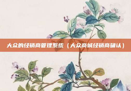 大众的经销商管理系统(大众商城经销商确认)