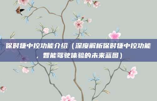 保时捷中控功能介绍(深度解析保时捷中控功能,智能驾驶体验的未来蓝图)