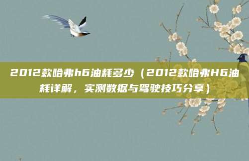 2012款哈弗h6油耗多少（2012款哈弗H6油耗详解，实测数据与驾驶技巧分享）
