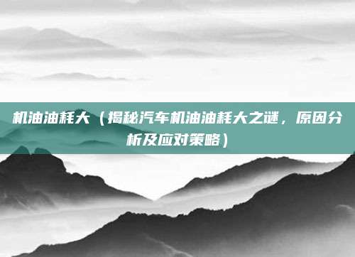 机油油耗大(揭秘汽车机油油耗大之谜,原因分析及应对策略)